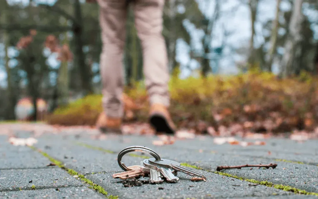 imgi_10_find-lost-keys-metal-detector-1080x675