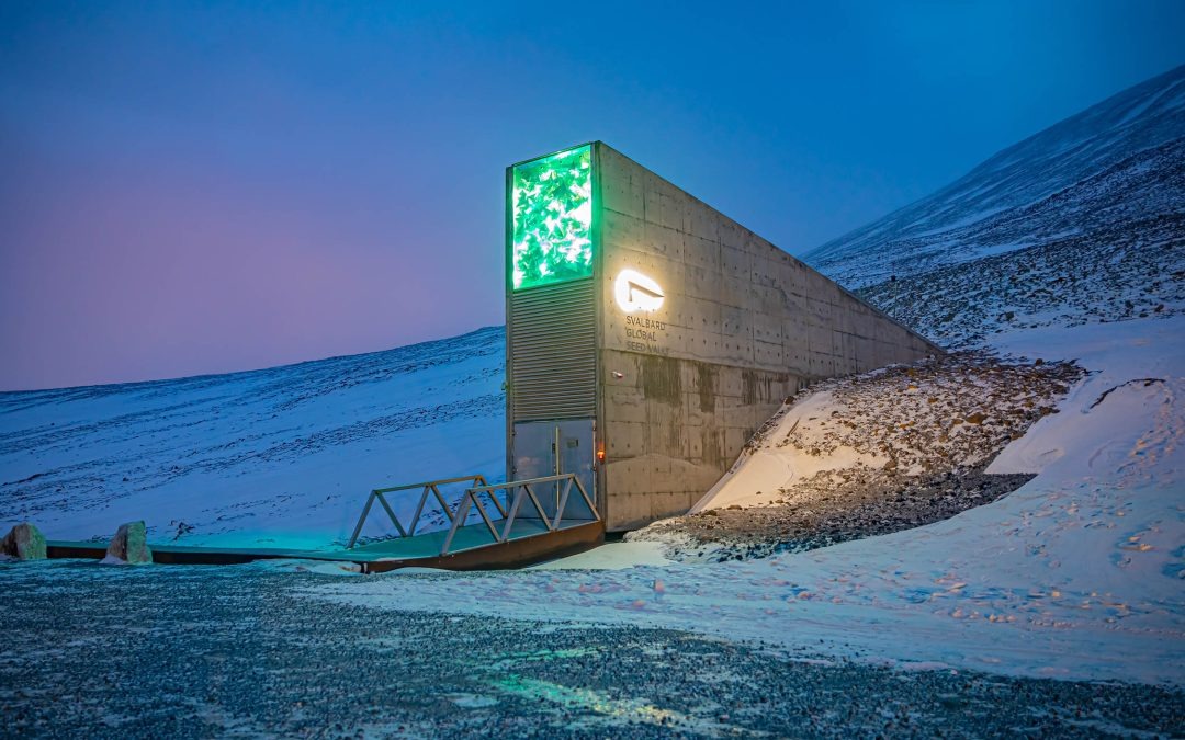 imgi_9_seed-vault-1-1080x675